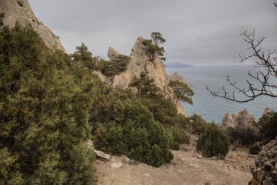 Прикрепленное изображение: IMG_0088_Enhancer_w.jpg